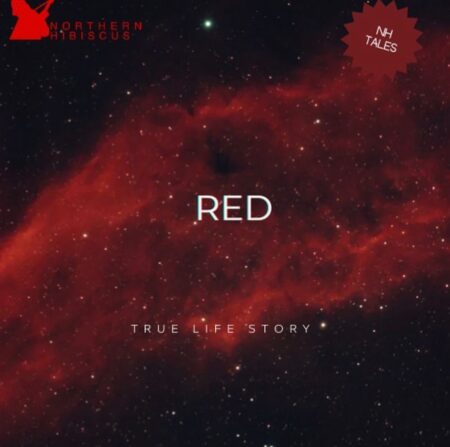 Red Episode 1 : ATM